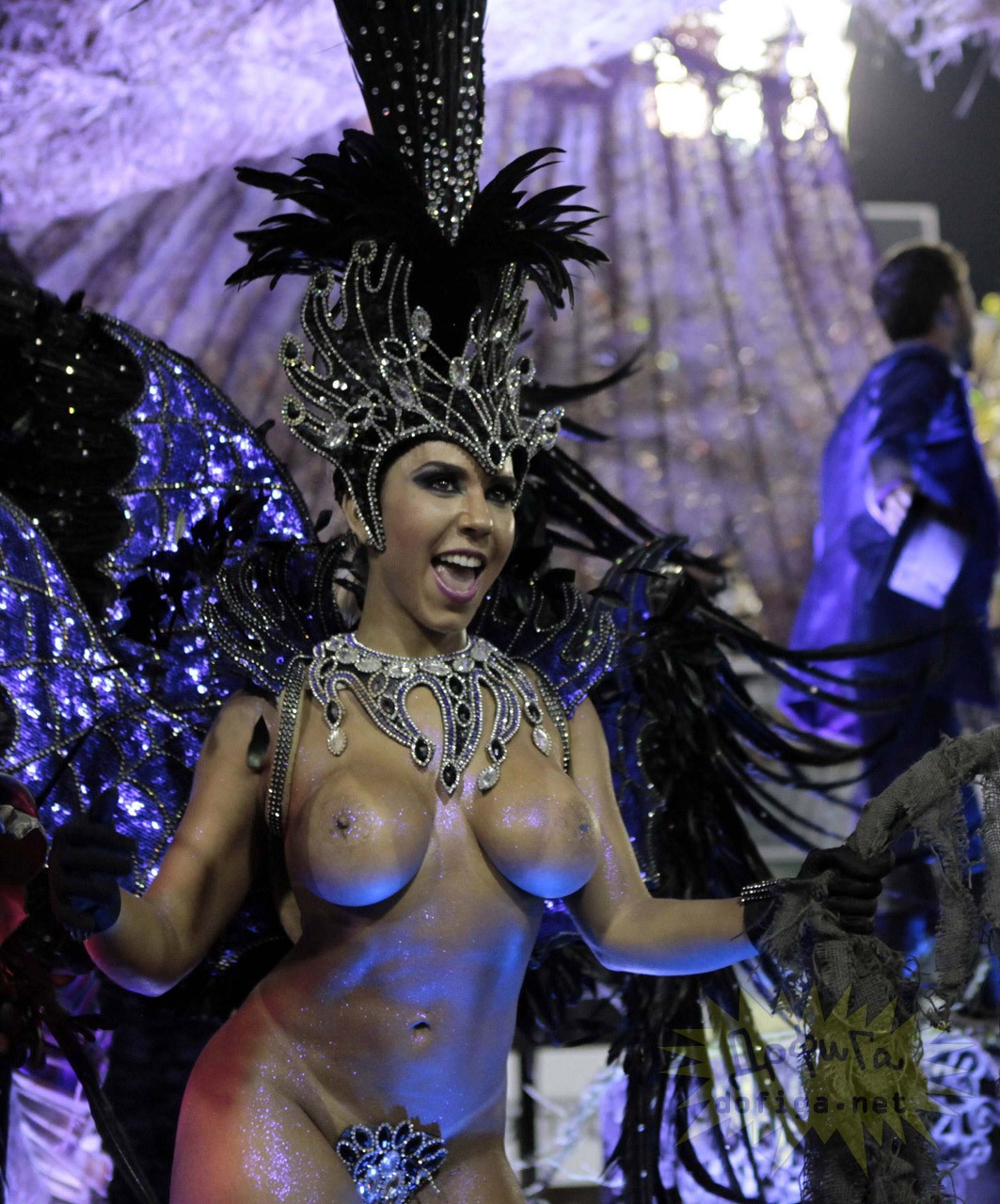 смотреть бразильский карнавал с голыми фото 27