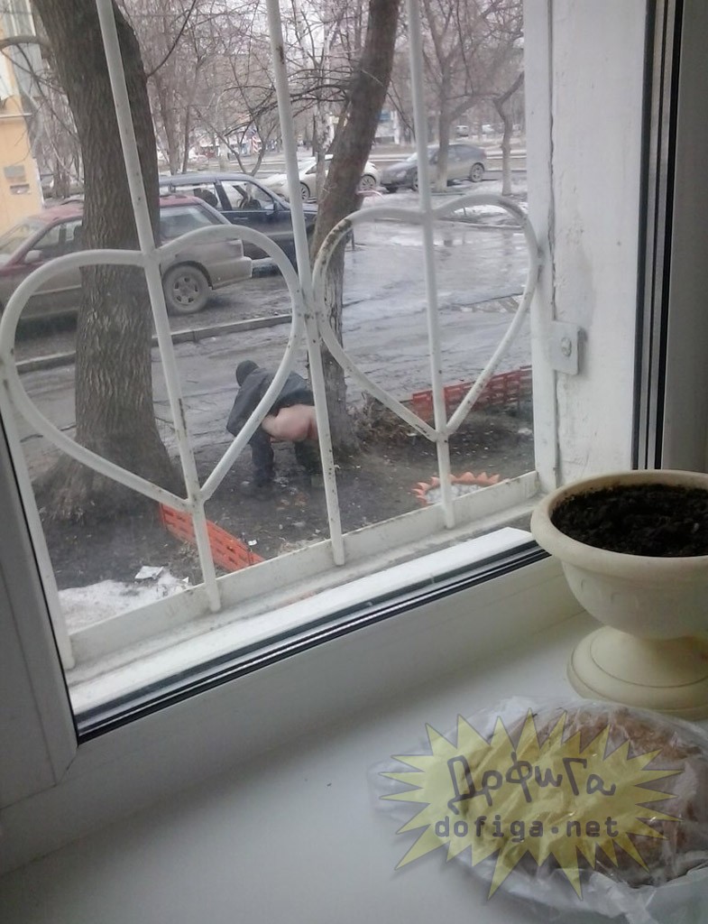 Поутру увидел на улице. Смешной вид из окна. Утро окно. Вид из окна прикол. Выглядывает в окно.