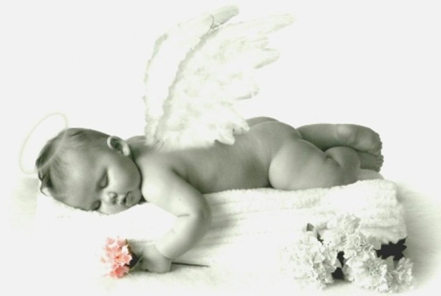 baby_angel
